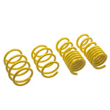 ST Lowering Springs Ford Mustang V8